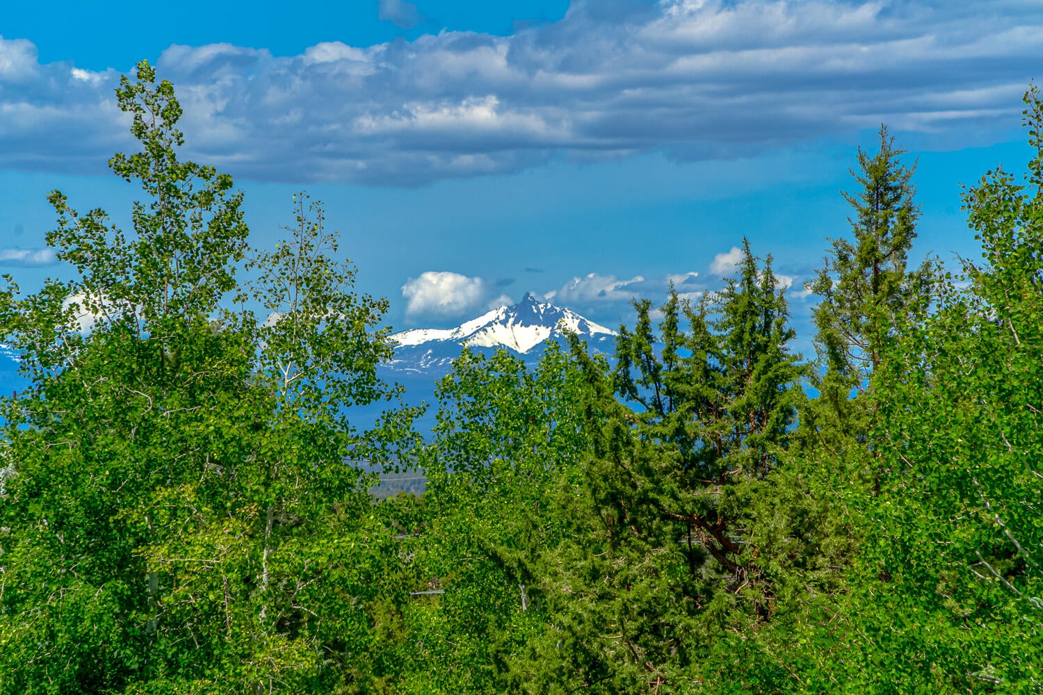 914 Highland View Loop Redmond, OR 97756 - Photo 9 of 50 view from property