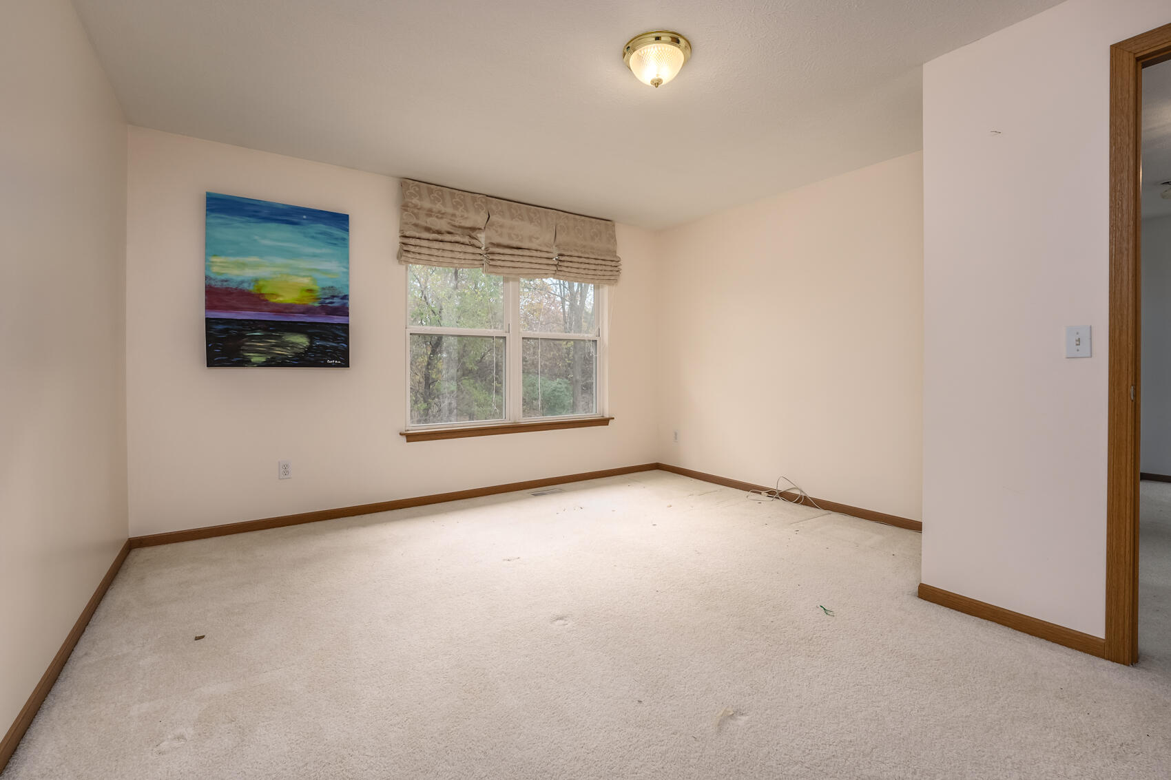 58021 River Lane Three Rivers, MI 49093 - Photo 44 of 65 River_Lane_Ct_58021_ThreeRivers_49093-31