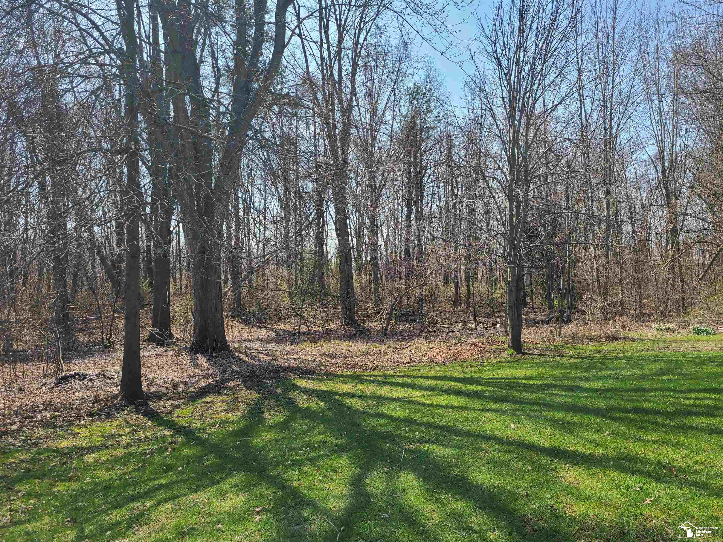 11581 Dixon Road Monroe, MI 48161 - Photo 15 of 41
