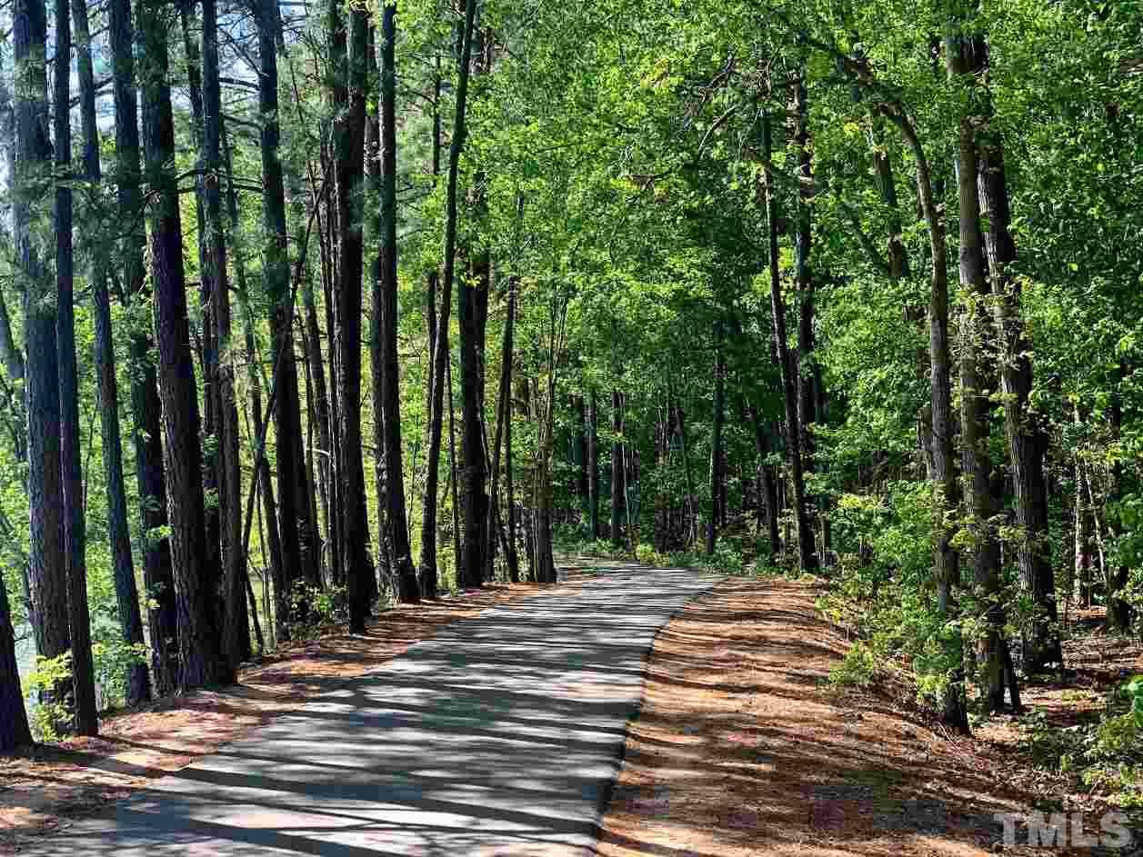 724 Edgewater Ridge Court Apex, NC 27523 - Photo 28 of 30 a view of backyard with trees