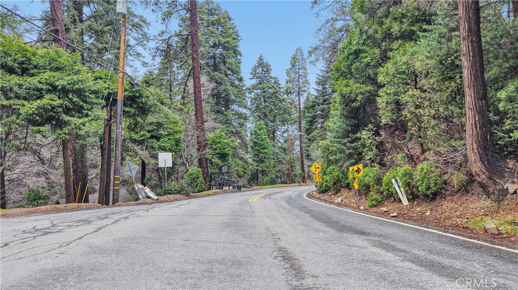 a view of a road with trees in the background