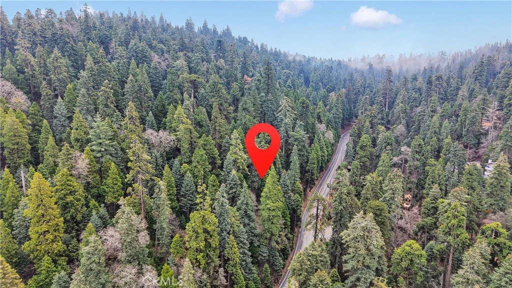 642 Rose Quartz Road Green Valley Lake, CA 92321 - Photo 8 of 11 a view of a back yard