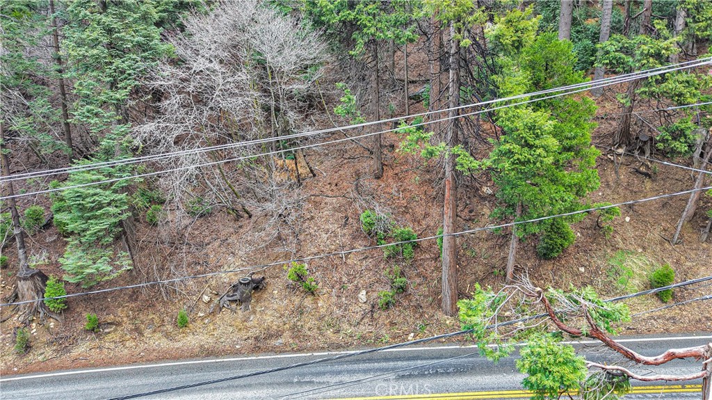 642 Rose Quartz Road Green Valley Lake, CA 92321 - Photo 10 of 11 a view of a yard from a window