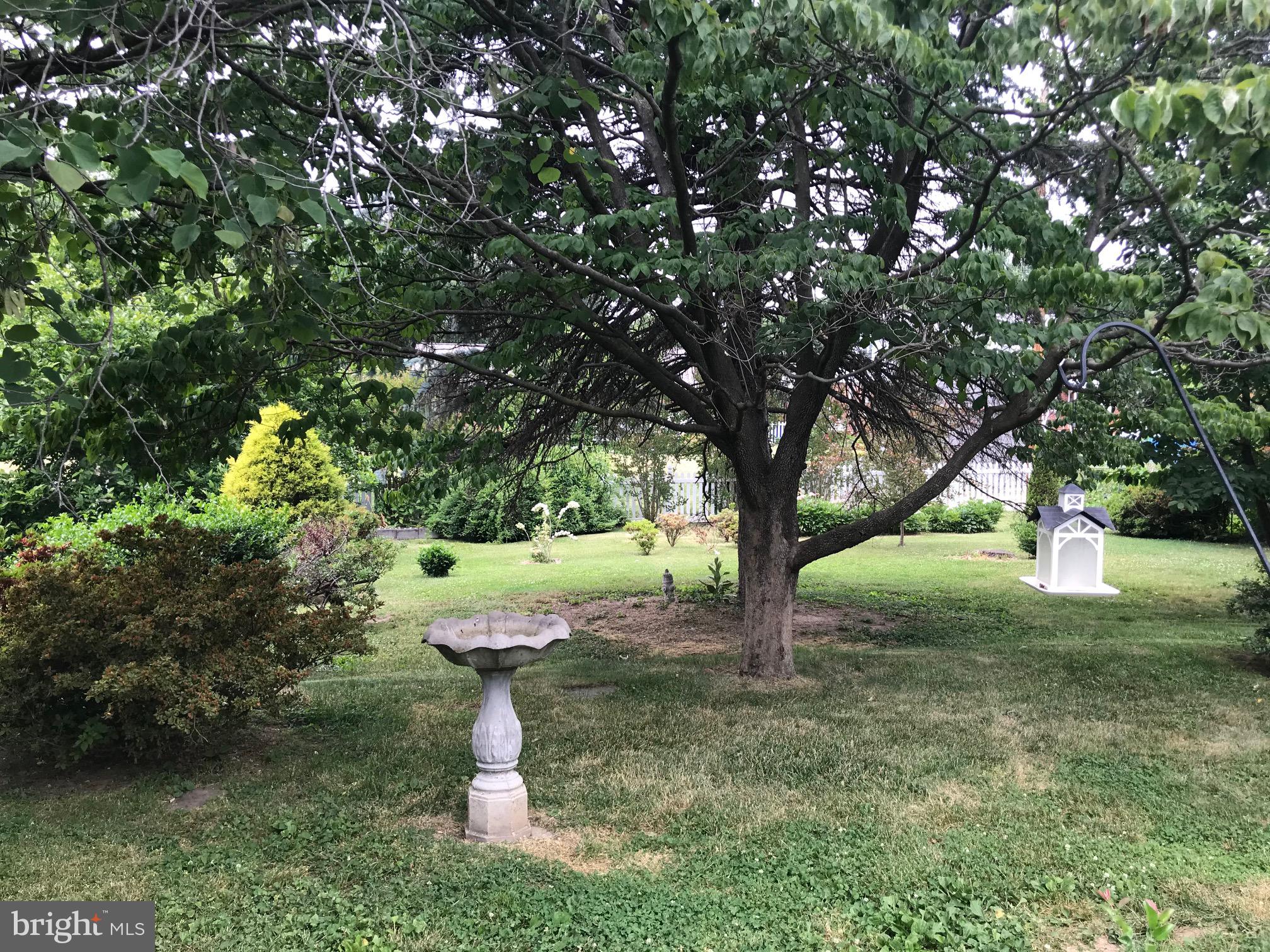 615 Biggs Avenue Frederick, MD 21702 - Photo 20 of 23