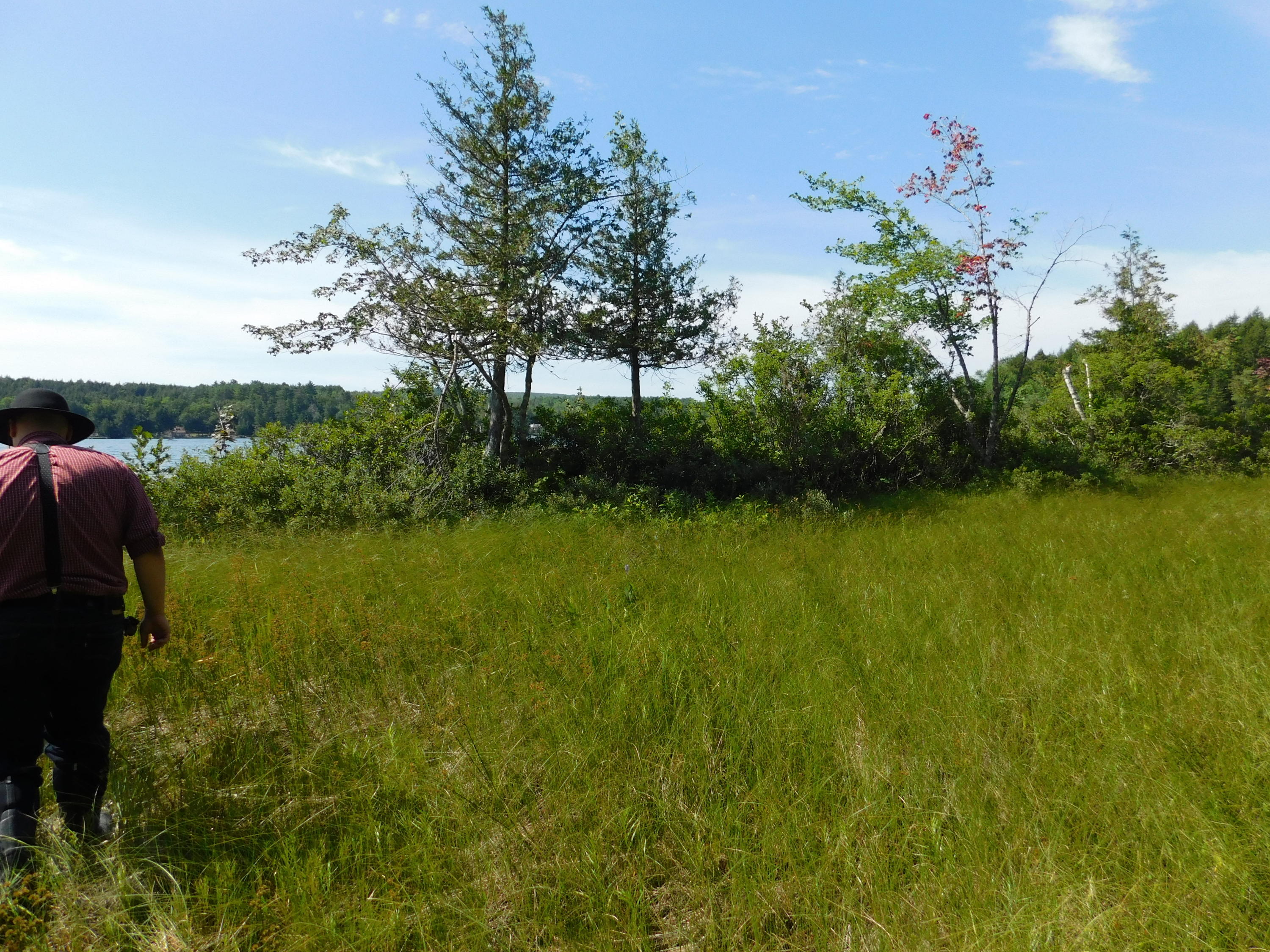 Lot 4 Flag Cove Road Dover-Foxcroft, ME 04426 - Photo 16 of 41 DSCN2219