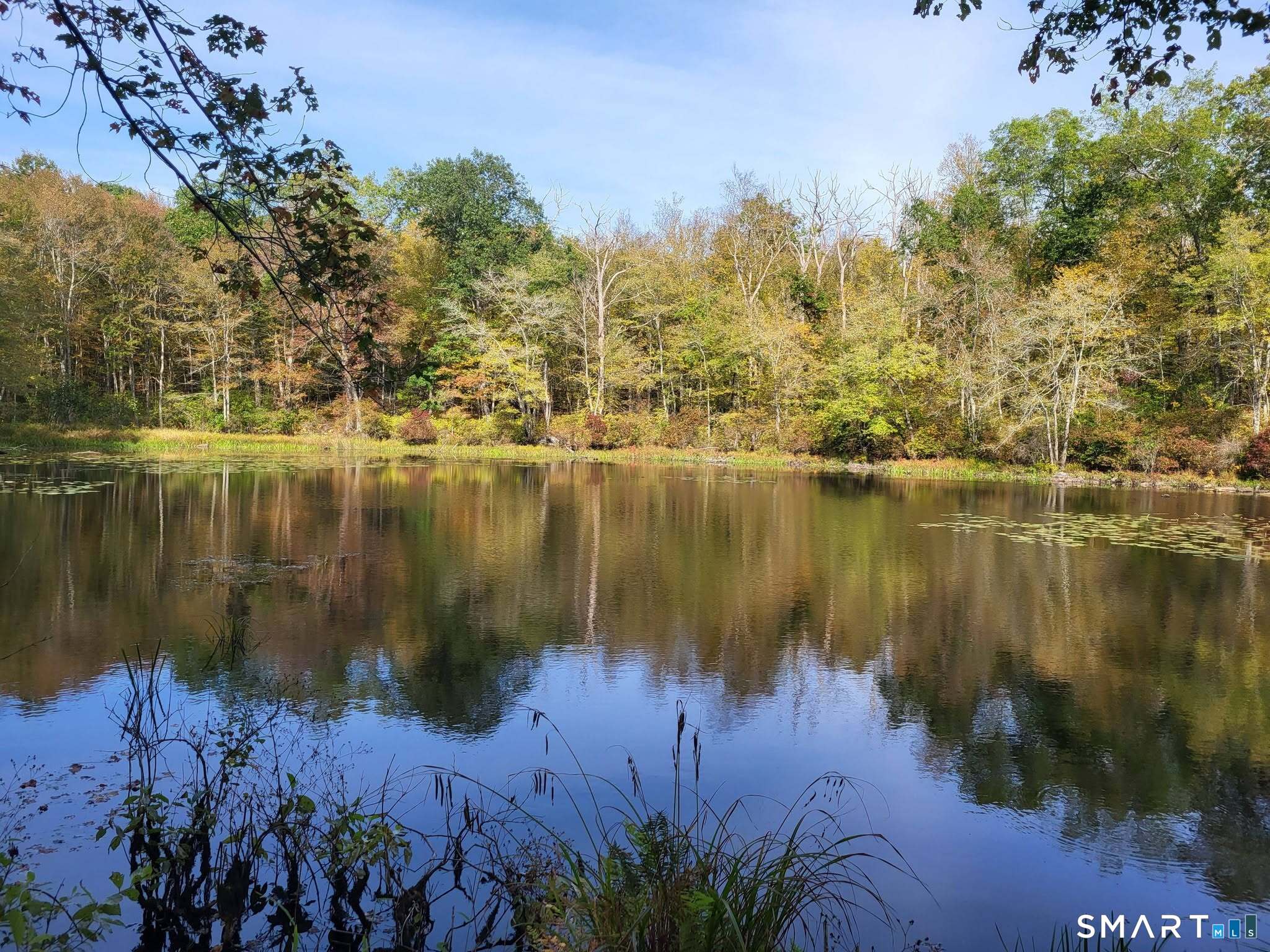 305 Tripp Hollow Road Brooklyn, CT 06234 - Photo 4 of 29