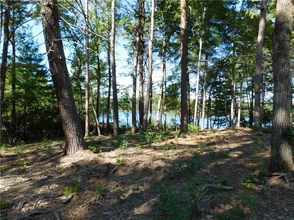 Lot 17 Old Chapman Bridge Road Salem, SC 29676 - Photo 3 of 4 Gallery Image 3