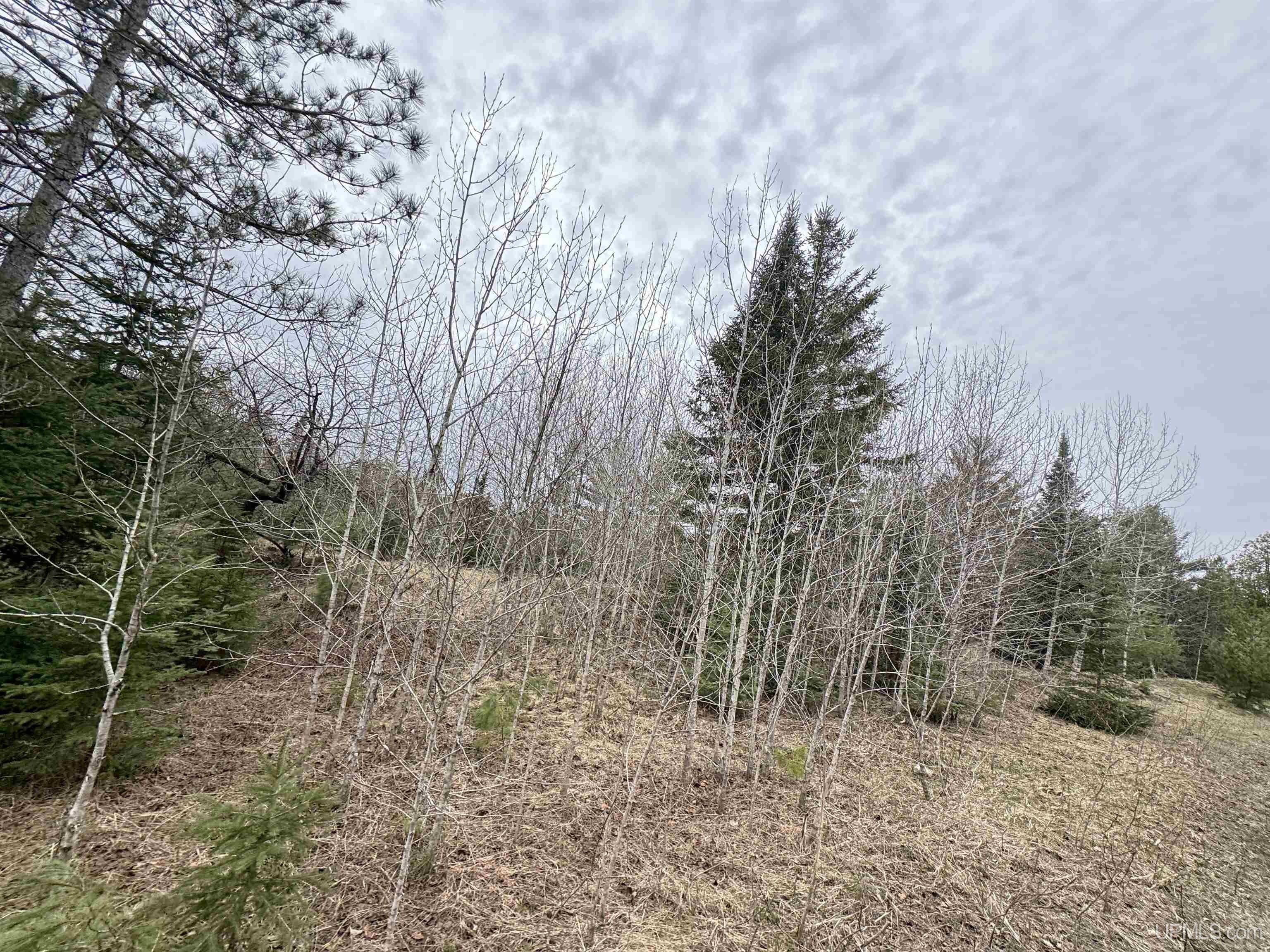 W4777 Lahay Road Daggett, MI 49821 - Photo 43 of 67