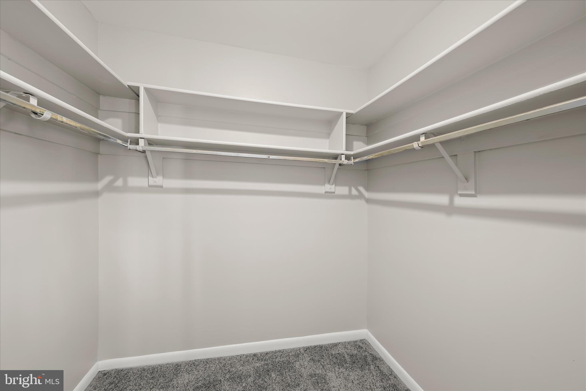 8869 Tamebird Court, Unit D T22 Columbia, MD 21045 - Photo 23 of 39 Walk-in closet