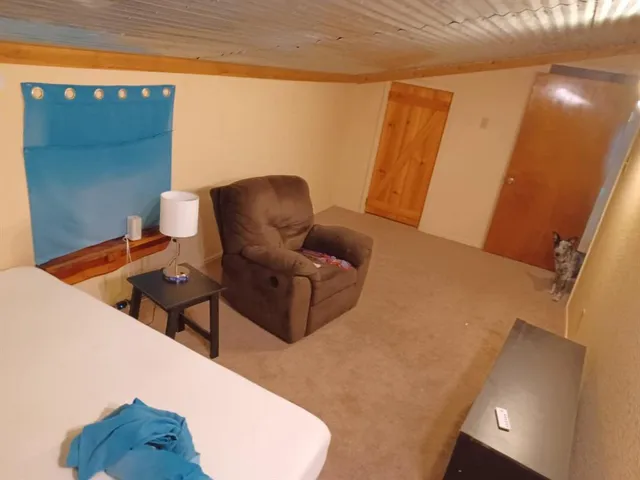 a living room with furniture rug and wooden floor