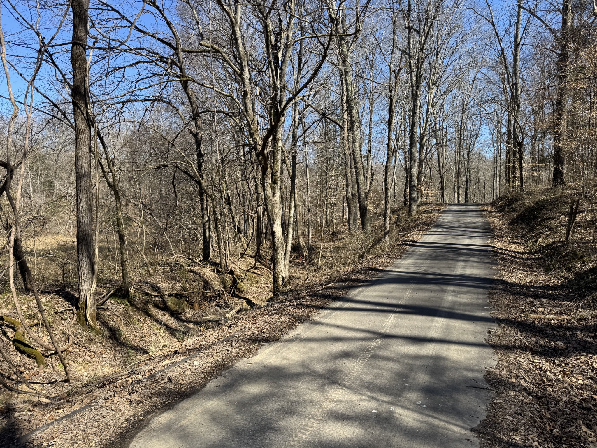 0 Corlew Road Charlotte, TN 37036 - Photo 2 of 6