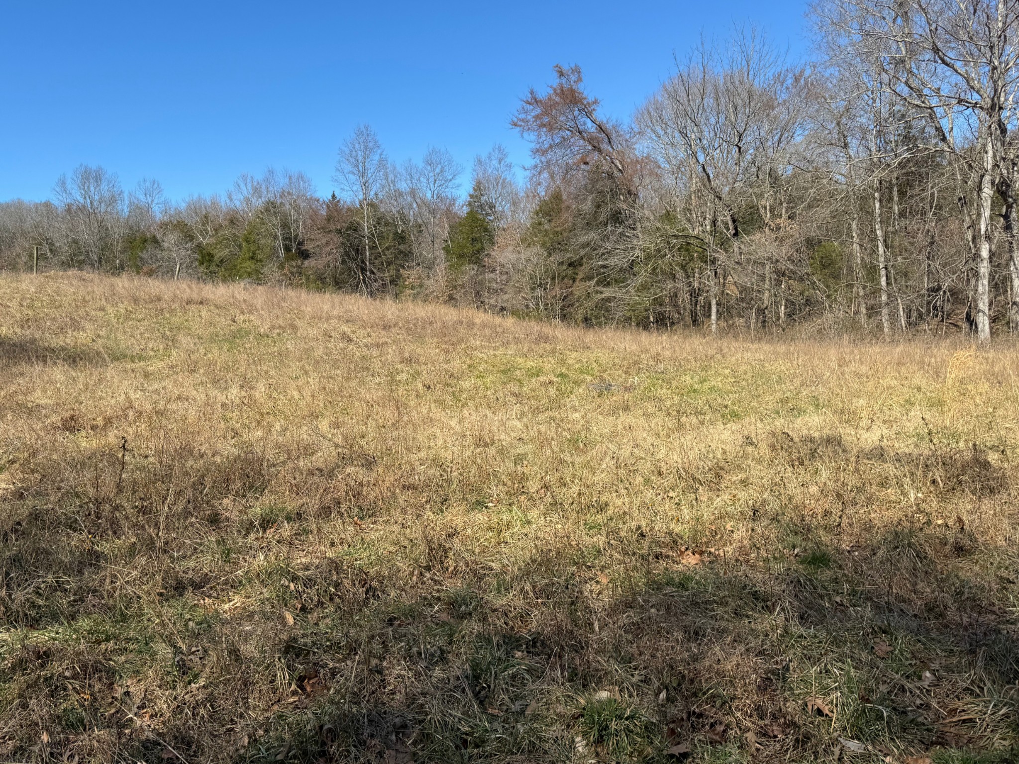 0 Corlew Road Charlotte, TN 37036 - Photo 5 of 6 a view of a dry yard with trees in the background
