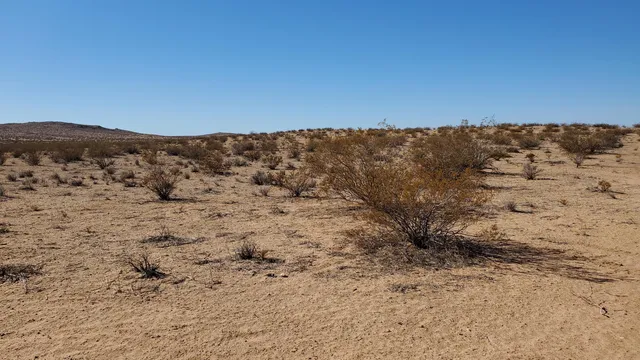 $10,950 | Alper Street, North Edwards, CA 93523