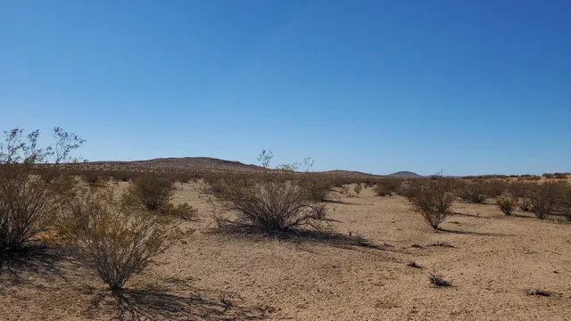 $10,950 | Alper Street, North Edwards, CA 93523