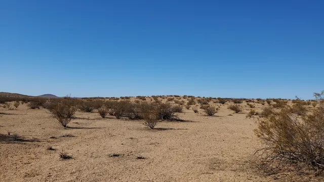 $10,950 | Alper Street, North Edwards, CA 93523