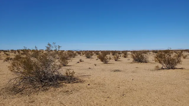 $10,950 | Alper Street, North Edwards, CA 93523