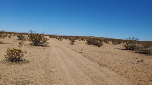 $10,950 | Alper Street, North Edwards, CA 93523