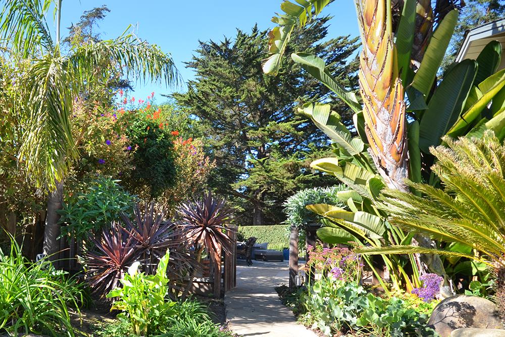 114 Solano Avenue La Selva Beach, CA 95076 - Photo 31 of 38 a backyard of a house with lots of green space