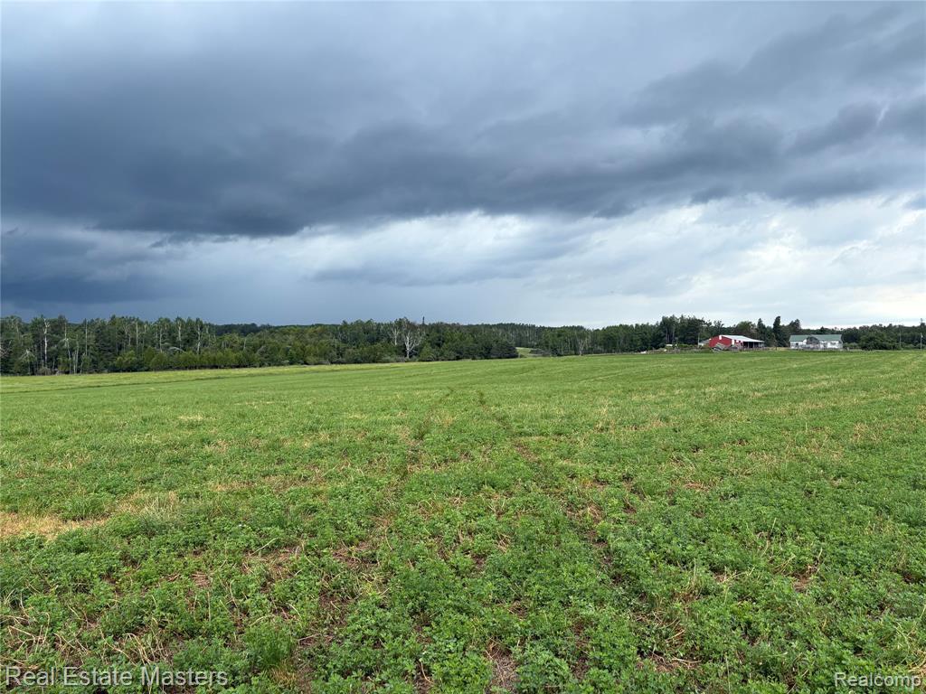 300 East Hubert Road Hubbard Lake, MI 49747 - Photo 16 of 17