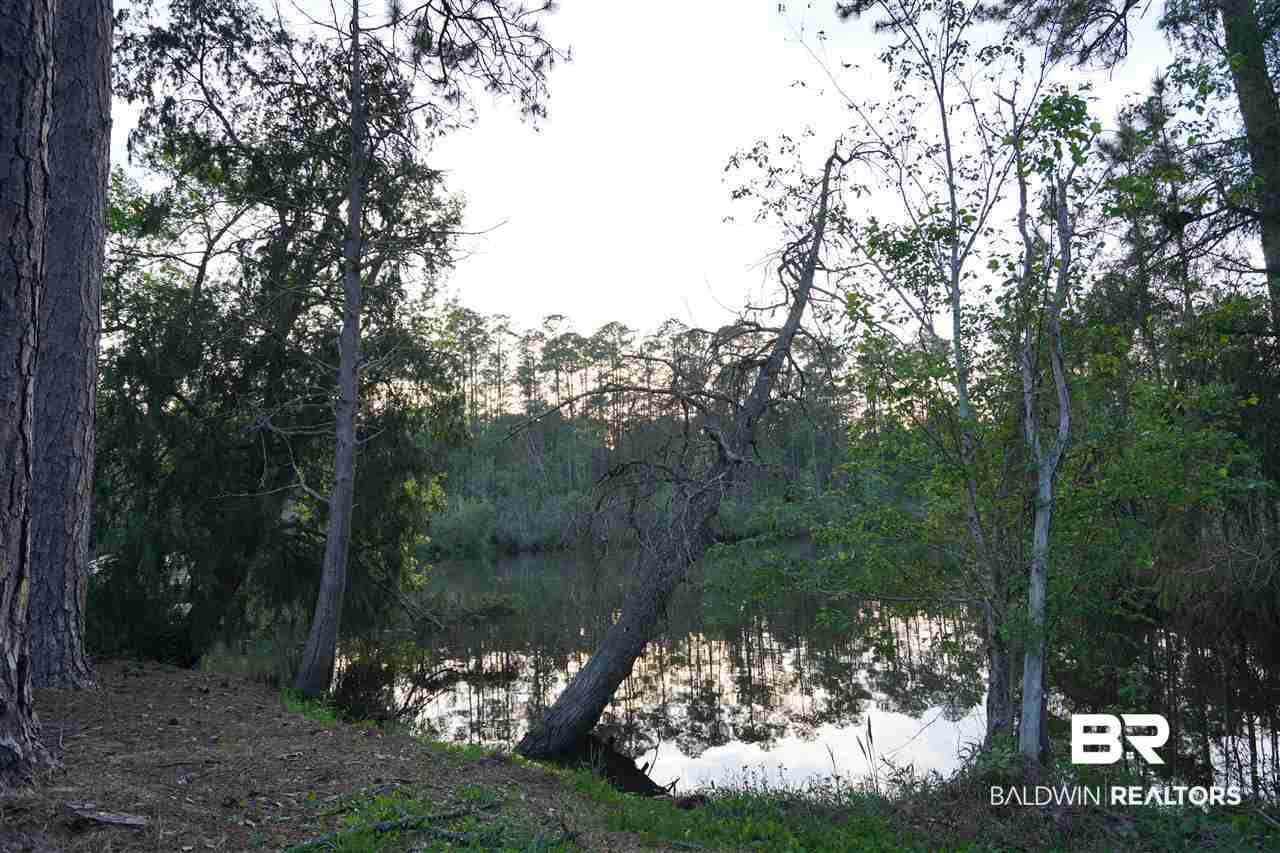 10051 Boynton Road Elberta, AL 36530 - Photo 33 of 47