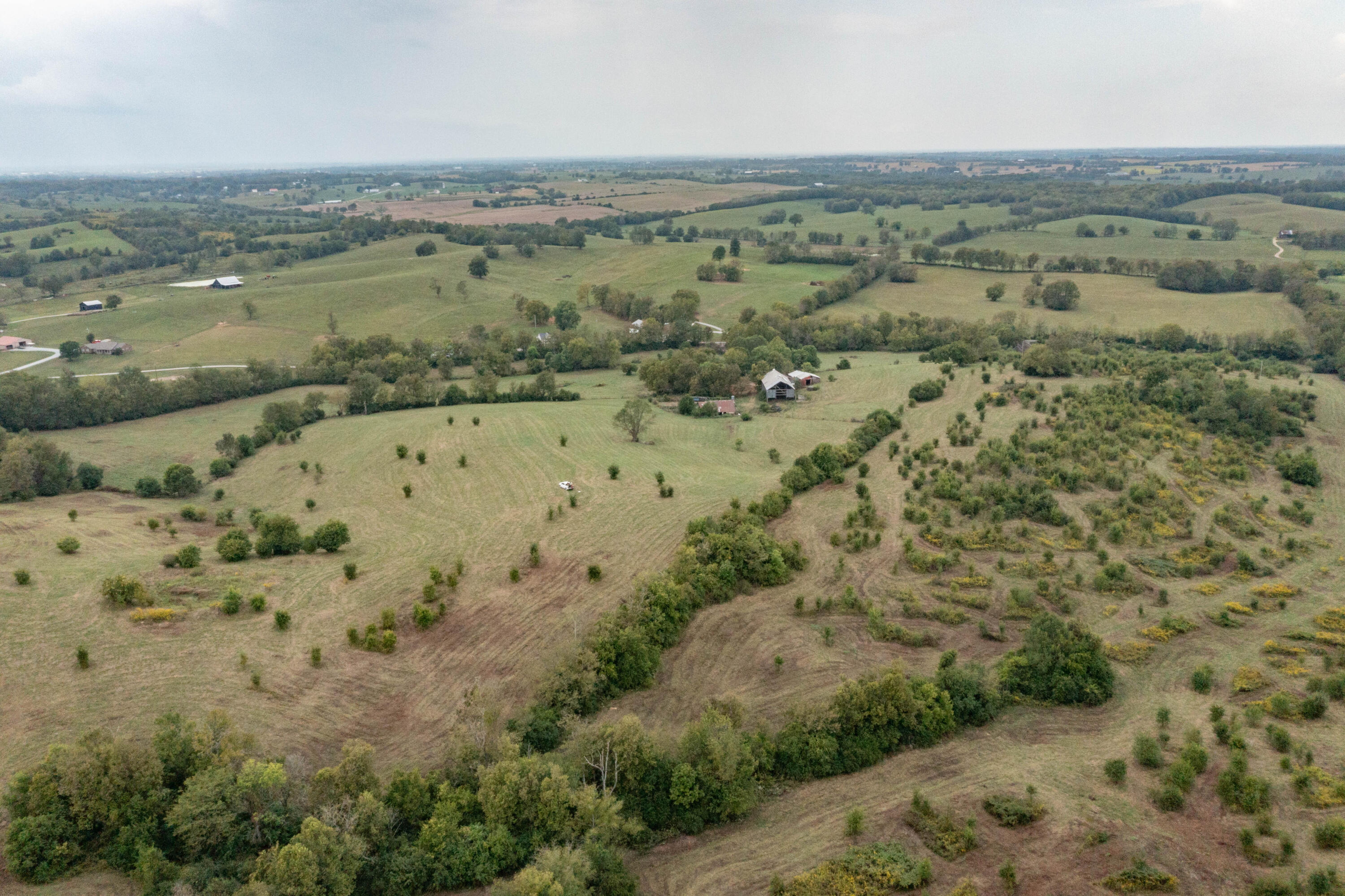 706 Stone Road Paris, KY 40361 - Photo 15 of 18 DJI_0372