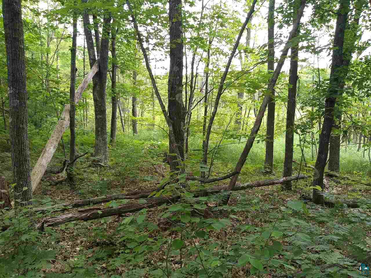 Xxxx Lindgren Road Brule, WI 54820 - Photo 2 of 5