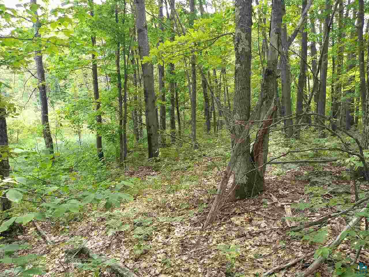 Xxxx Lindgren Road Brule, WI 54820 - Photo 3 of 5