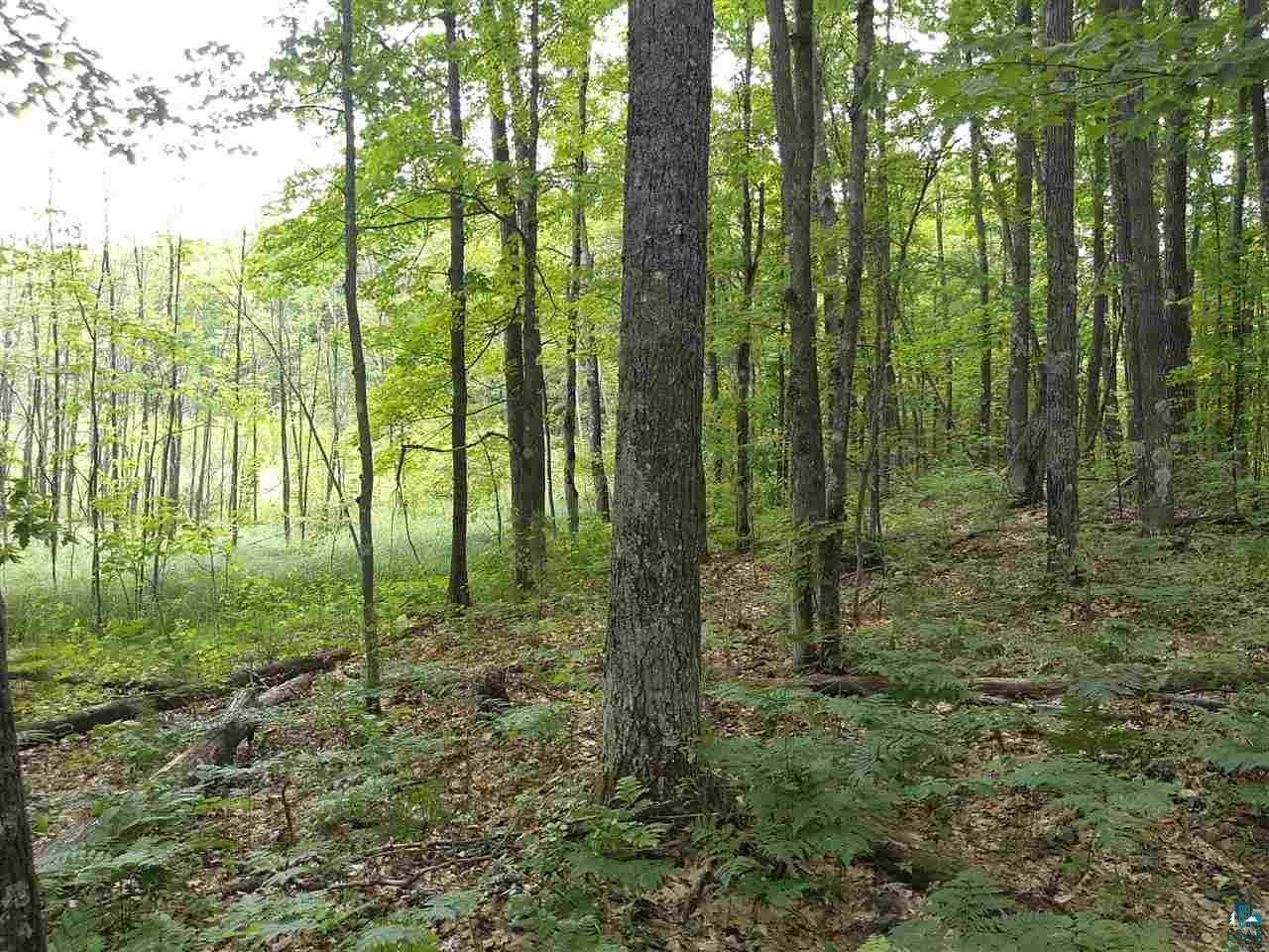 Xxxx Lindgren Road Brule, WI 54820 - Photo 5 of 5