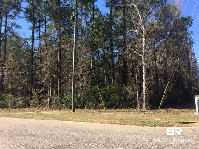 0 Peachtree Avenue Foley, AL 36535 - Photo 1 of 1