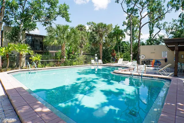 a view of a backyard with plants