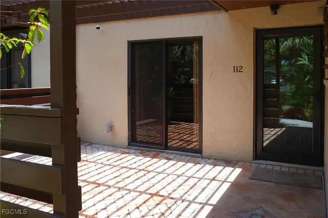 a view of a garden with plants