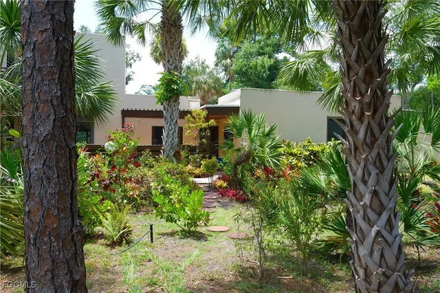 a body of water with a tree in the background