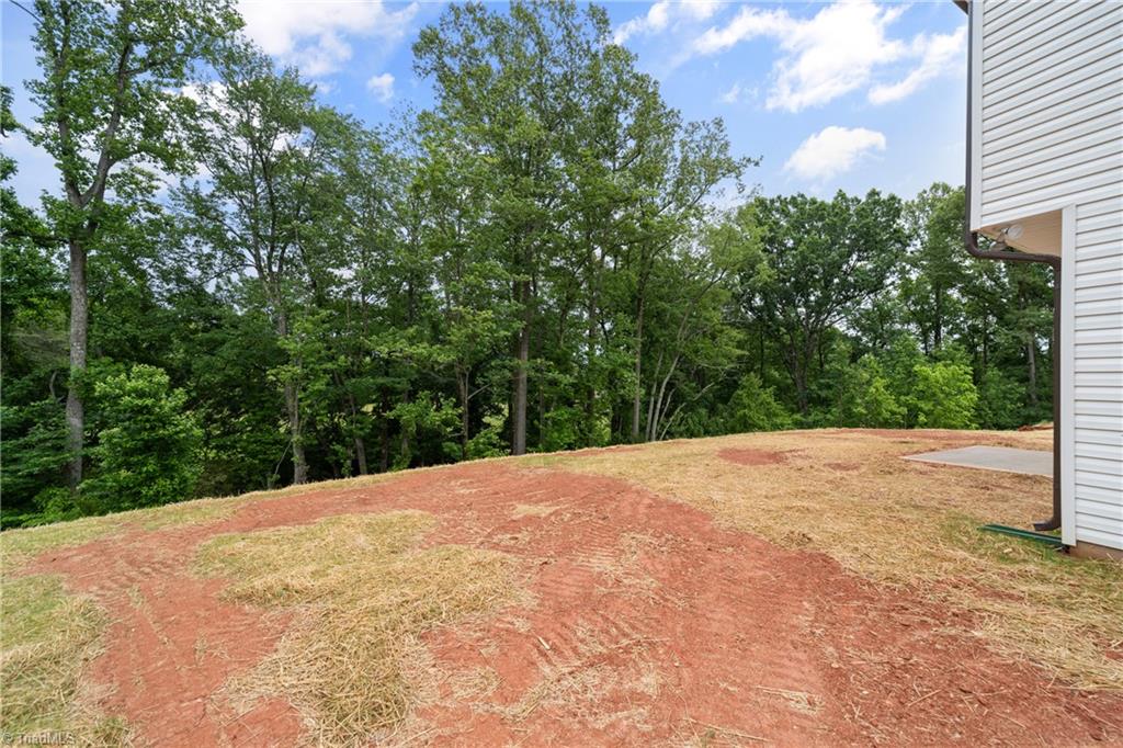 110 Vine Maple Court King, NC 27021 - Photo 37 of 40