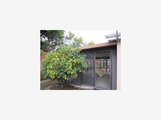 18 Ralston Drive Monterey, CA 93940 - Photo 9 of 9 Gallery Image 9