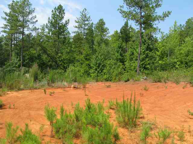 1287 Cannon Bottom Road Belton, SC 29627 - Photo 11 of 12