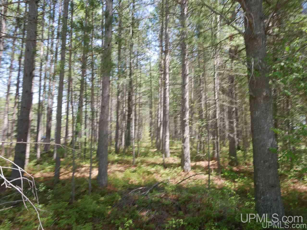 33985 Rice Landing Rd Lake Lake Linden, MI 49945 - Photo 28 of 30