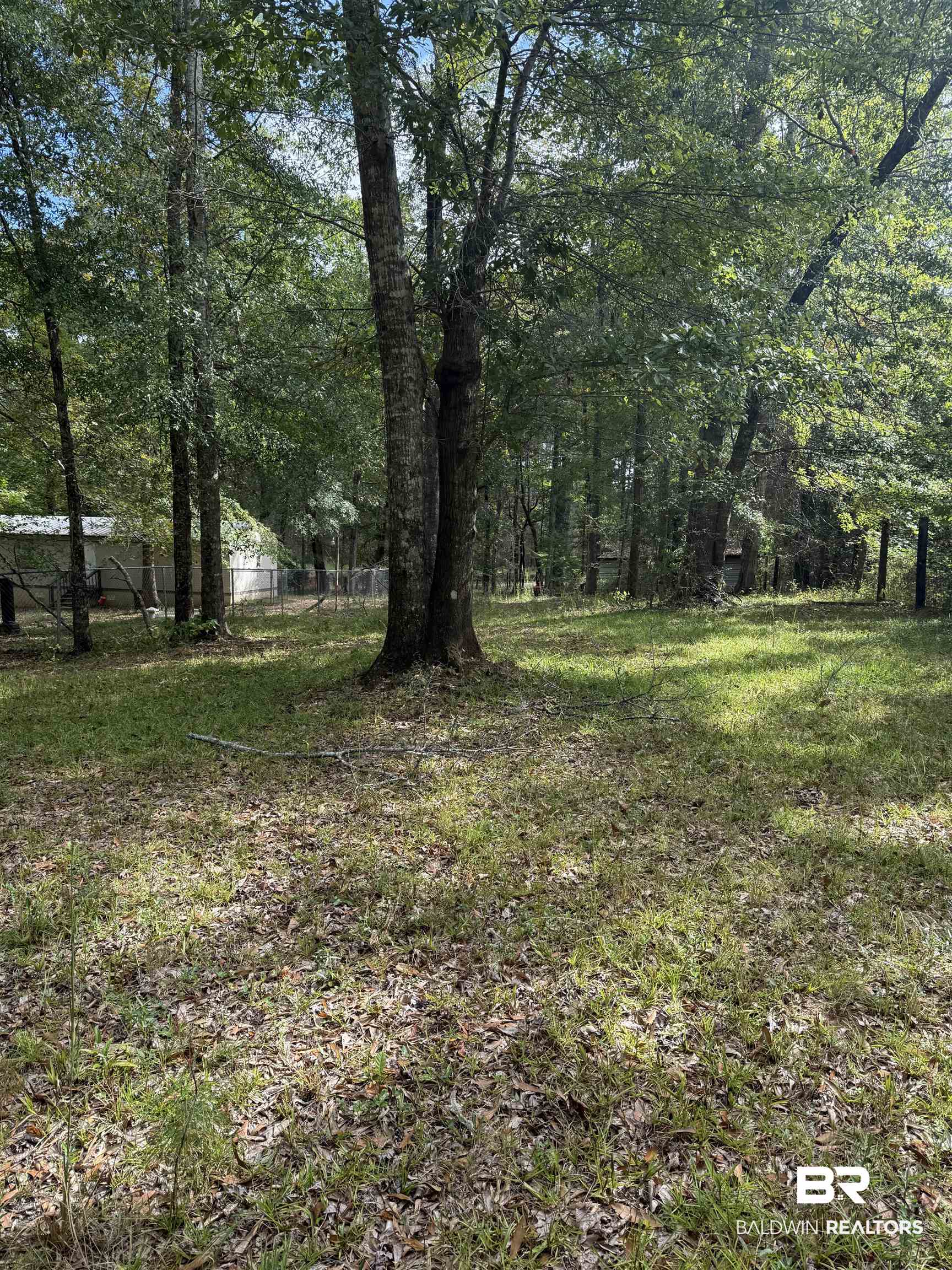 56 Thunder Road Evergreen, AL 36401 - Photo 25 of 35