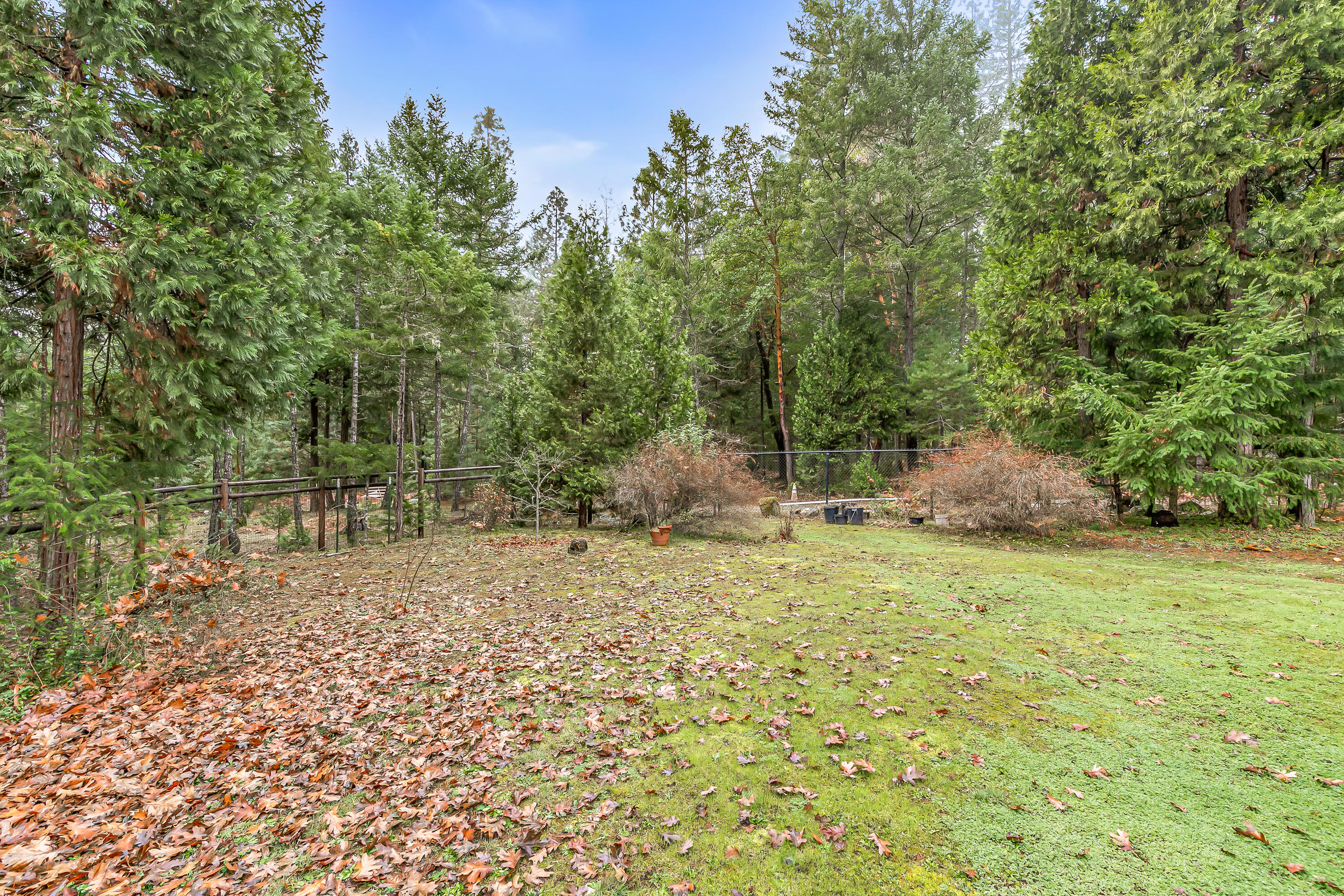 4059 Ditch Creek Road Rogue River, OR 97537 - Photo 52 of 54