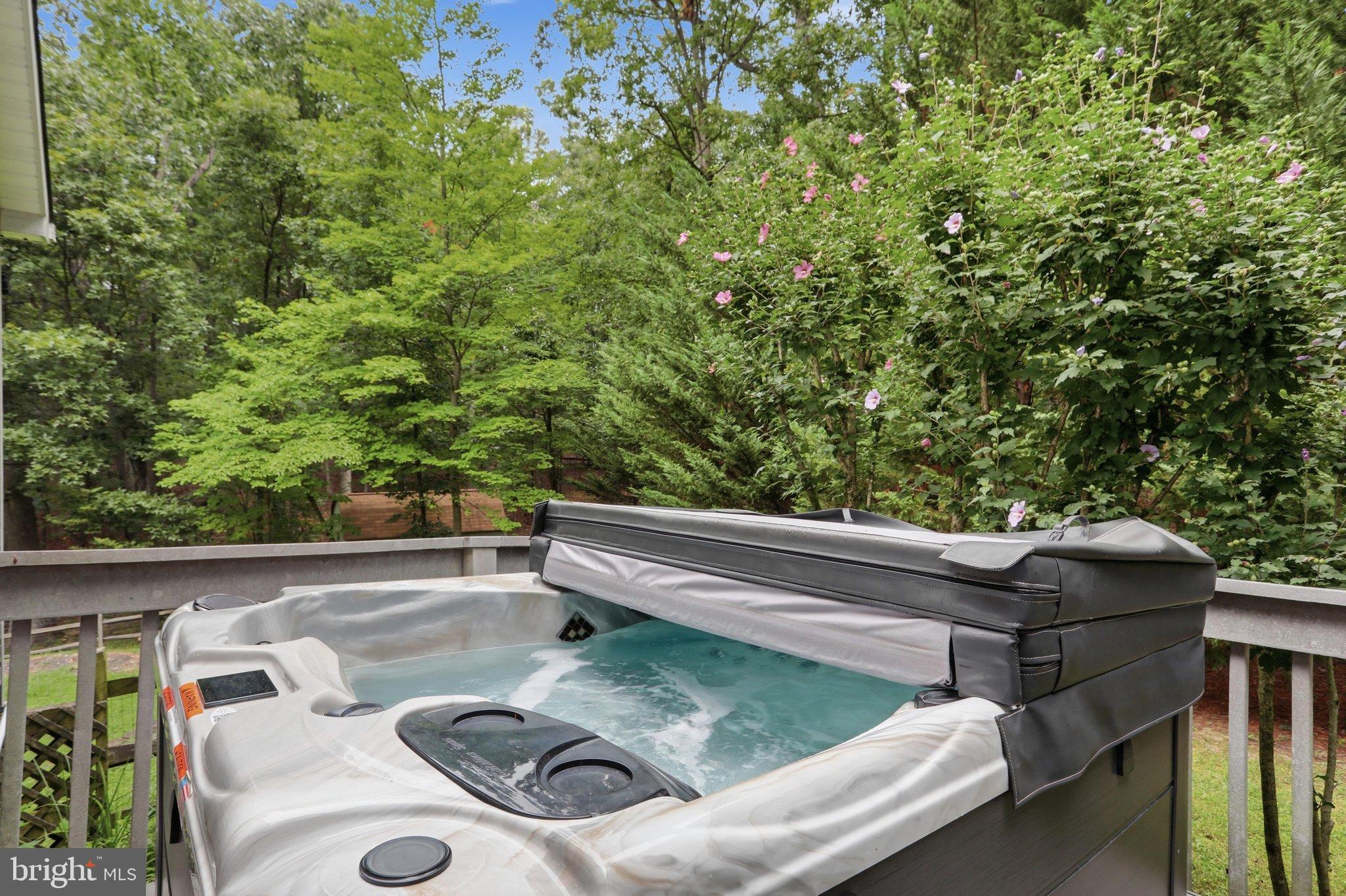 18664 Rivergate Road Keedysville, MD 21756 - Photo 46 of 64 hot tub on composite deck at Primary bedroom