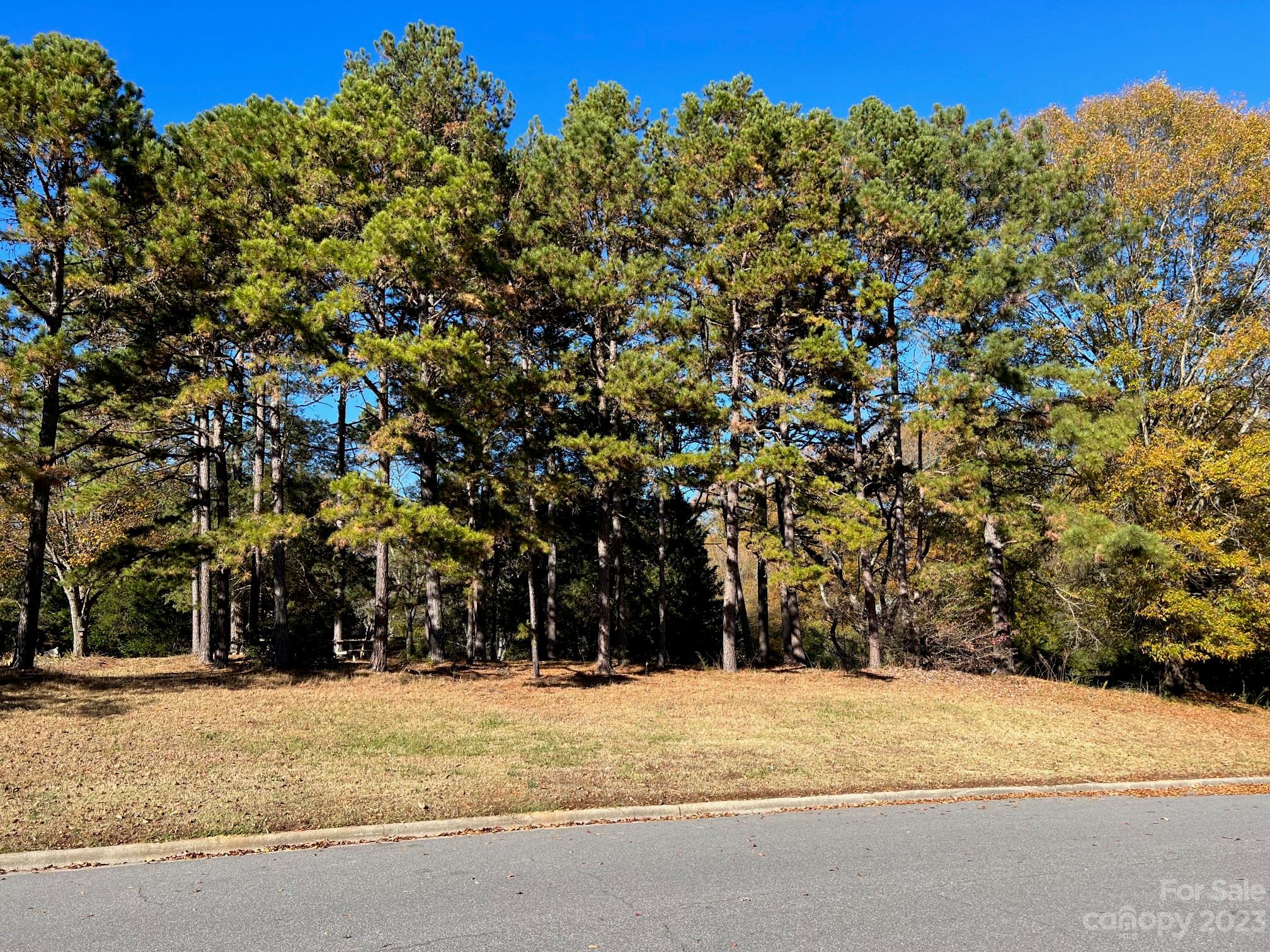 1213 Rosa Drive, Unit 85 Monroe, NC 28112 - Photo 3 of 11 Gallery Image 3