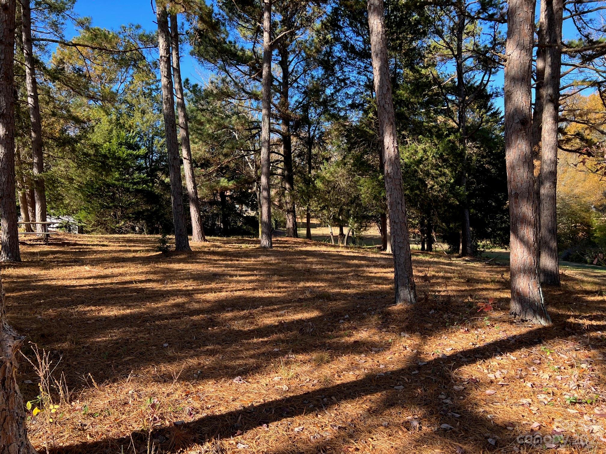 1213 Rosa Drive, Unit 85 Monroe, NC 28112 - Photo 4 of 11 Gallery Image 4
