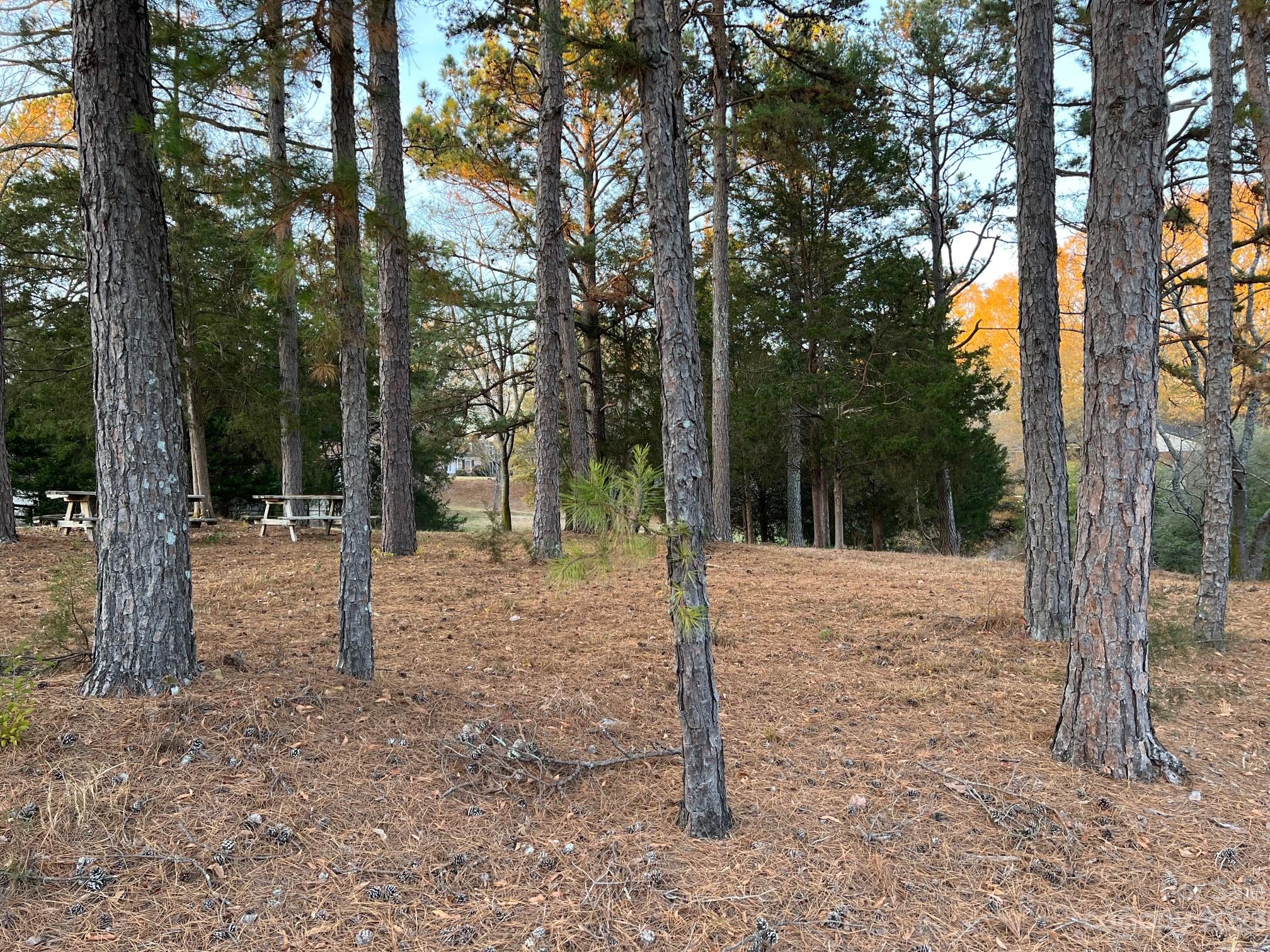 1213 Rosa Drive, Unit 85 Monroe, NC 28112 - Photo 9 of 11 Gallery Image 9