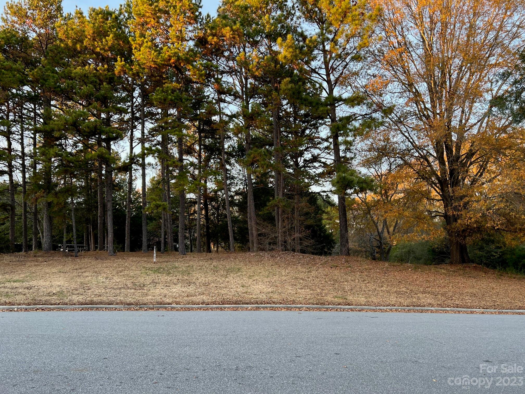 1213 Rosa Drive, Unit 85 Monroe, NC 28112 - Photo 10 of 11 Gallery Image 10