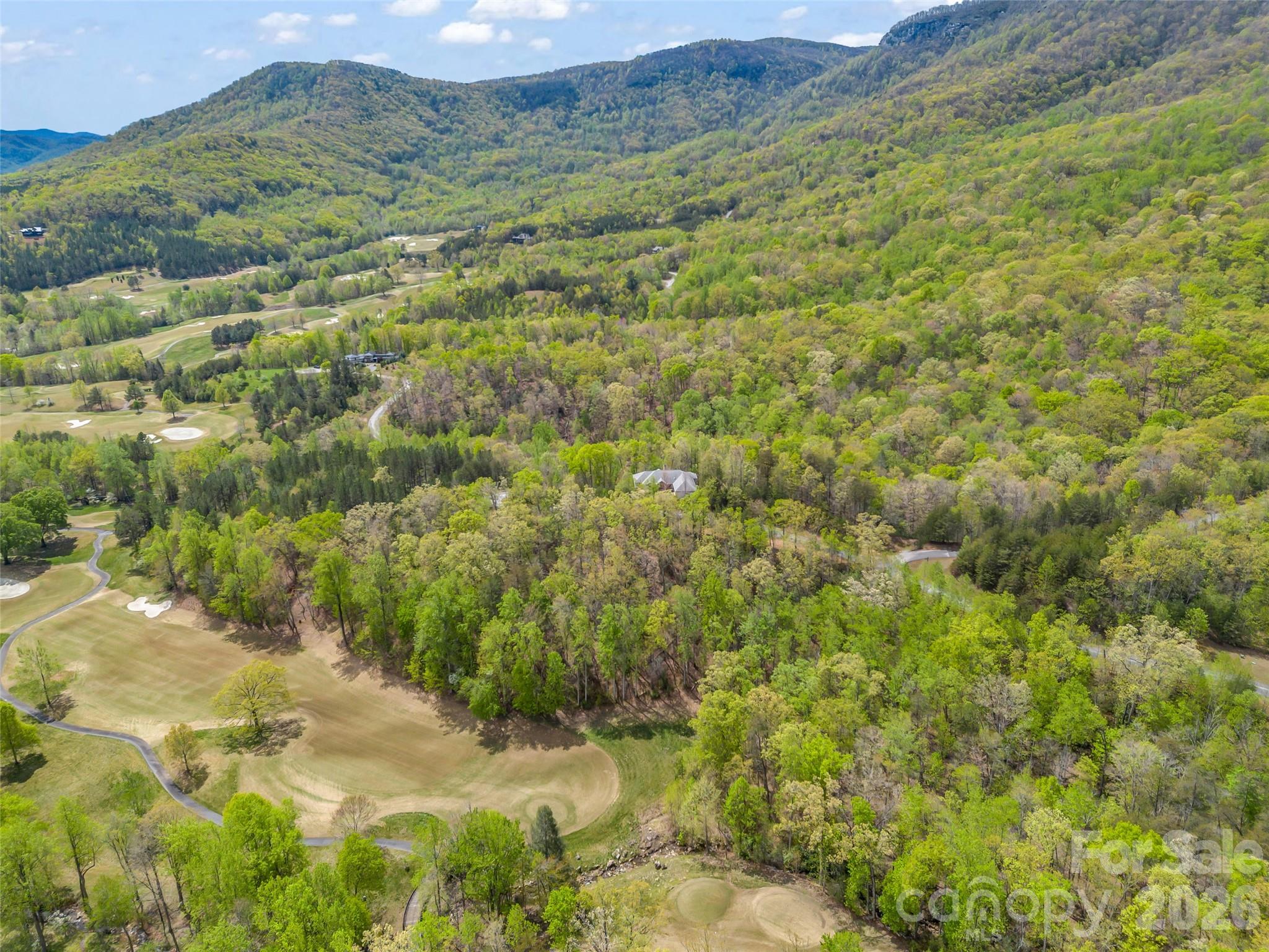 112 Deep Gap Farm Road East Mill Spring, NC 28756 - Photo 12 of 23