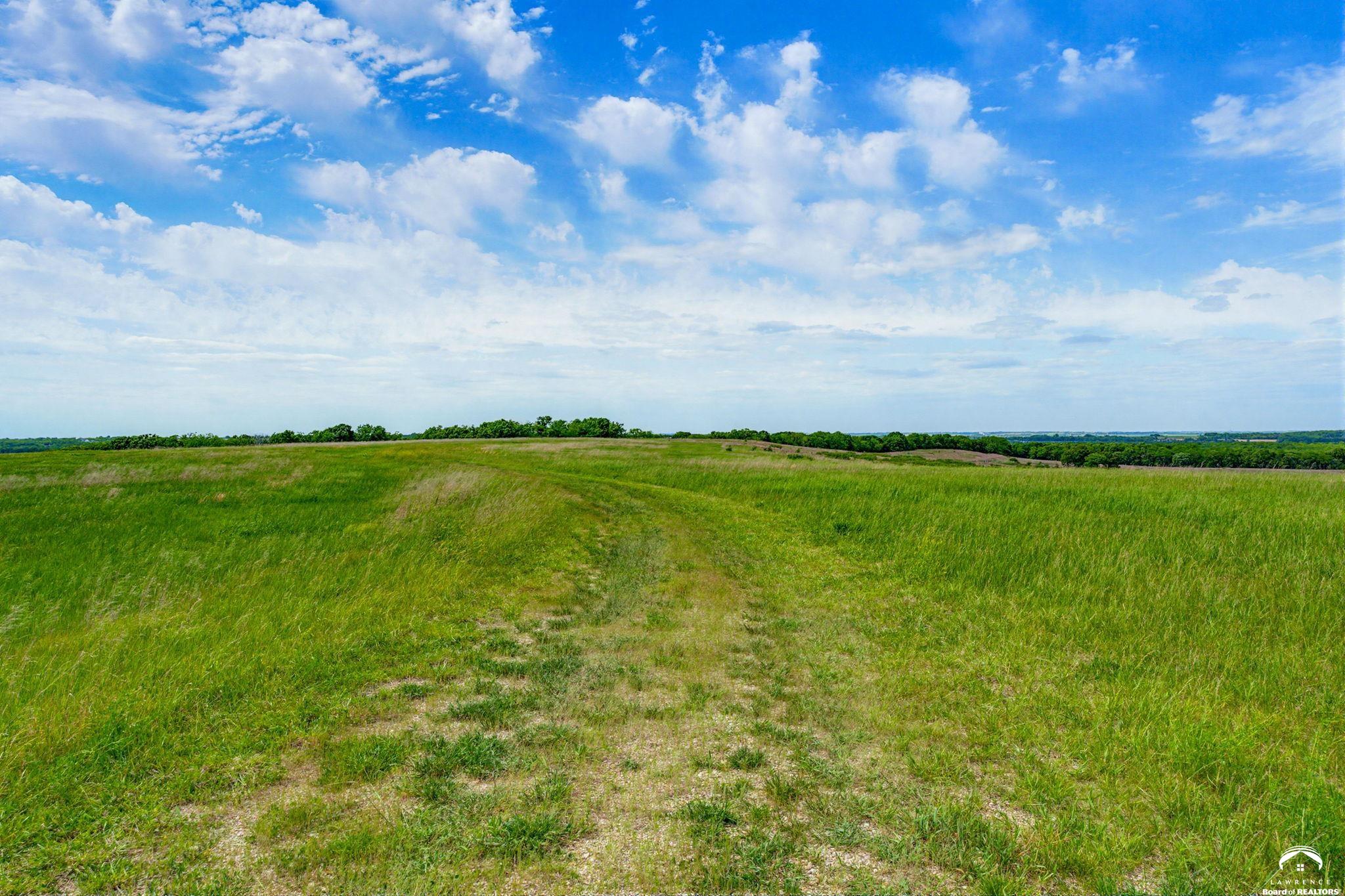 240 Acres M/l North 750th Road Overbrook, KS 66524 - Photo 13 of 29