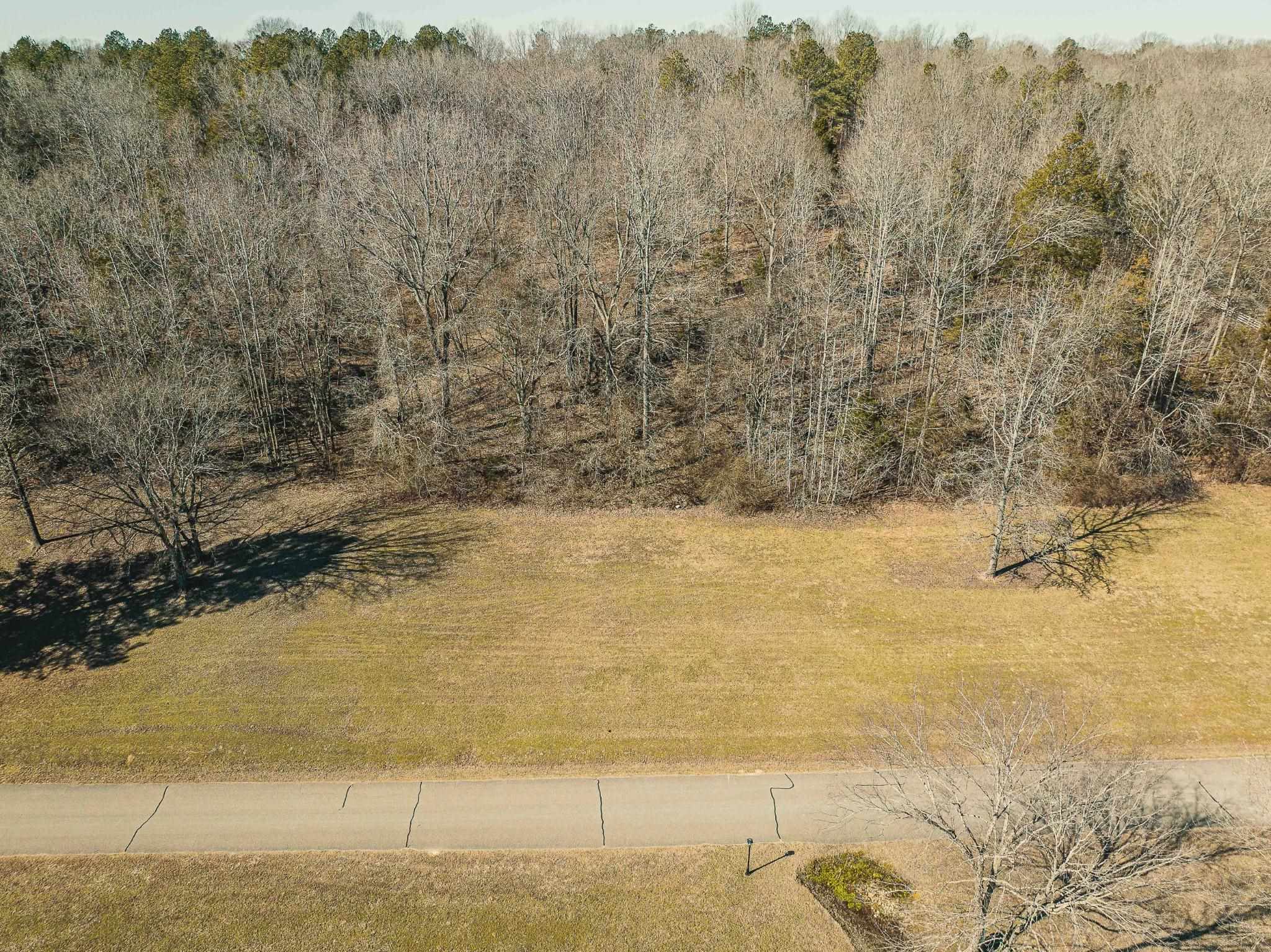 Lot 141 Creek Ridge Cove Parsons, TN 38363 - Photo 4 of 17 View of landscape