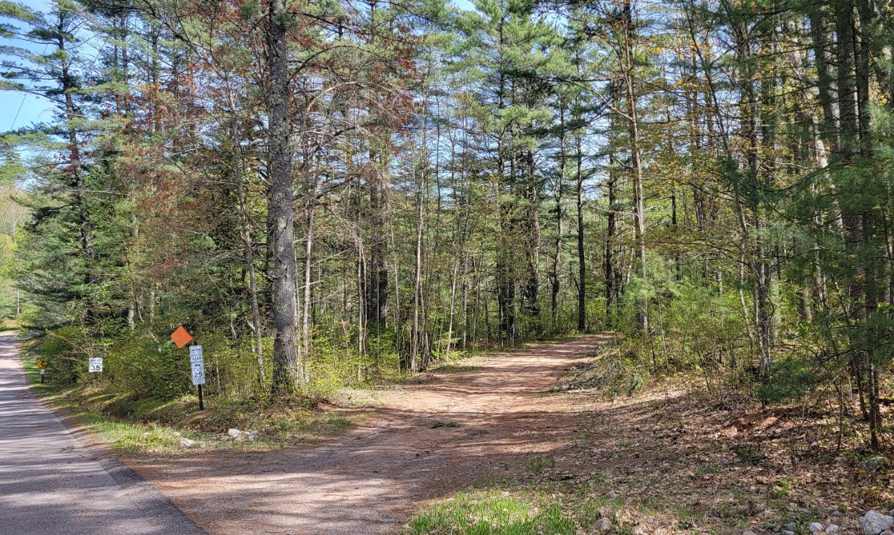 Off Witches Lake Road, Unit LOT 4 Woodruff, WI 54568 - Photo 37 of 39 Gallery Image 37