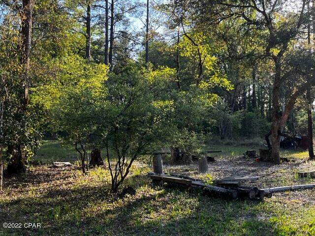 0 Gaston Road Vernon, FL 32462 - Photo 8 of 14
