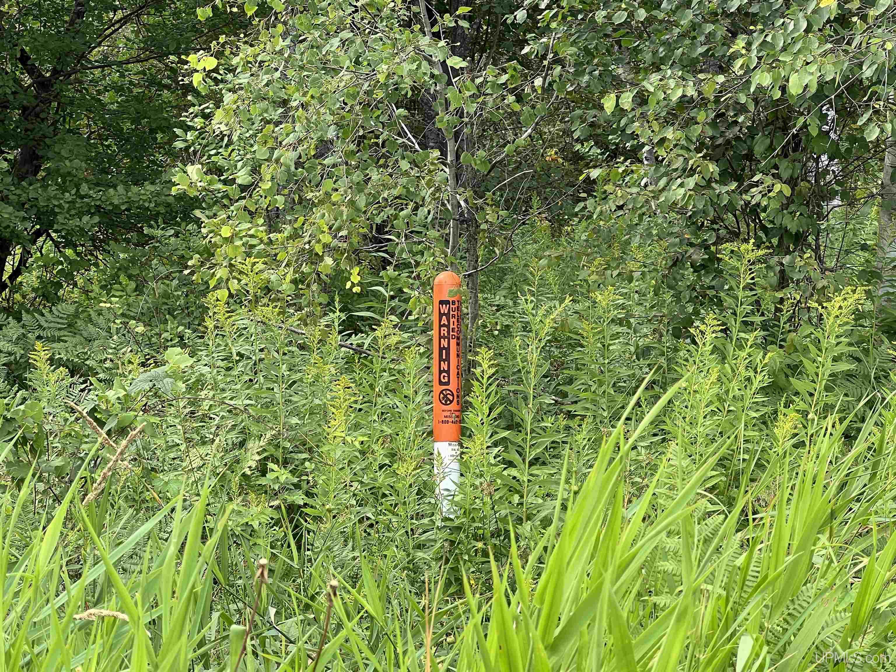 Tbd 40 A Tapio Road Chassell, MI 49916 - Photo 8 of 11