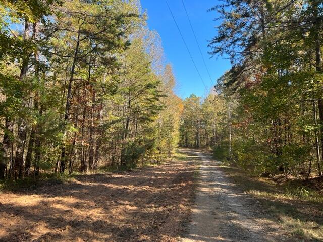 Browntown Road Oakman, AL 35579 - Photo 2 of 3 Gallery Image 2